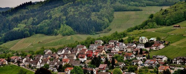 A szabálytalan tüzelés-fűtés bejelentése – így csináld!